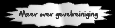 ster-gevelreiniging